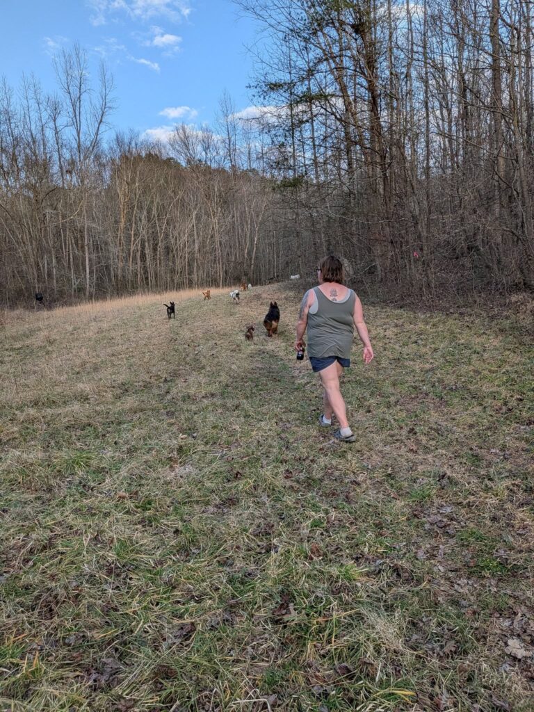 Rusty's Rescue Ranch | A Ranch of Second Chances